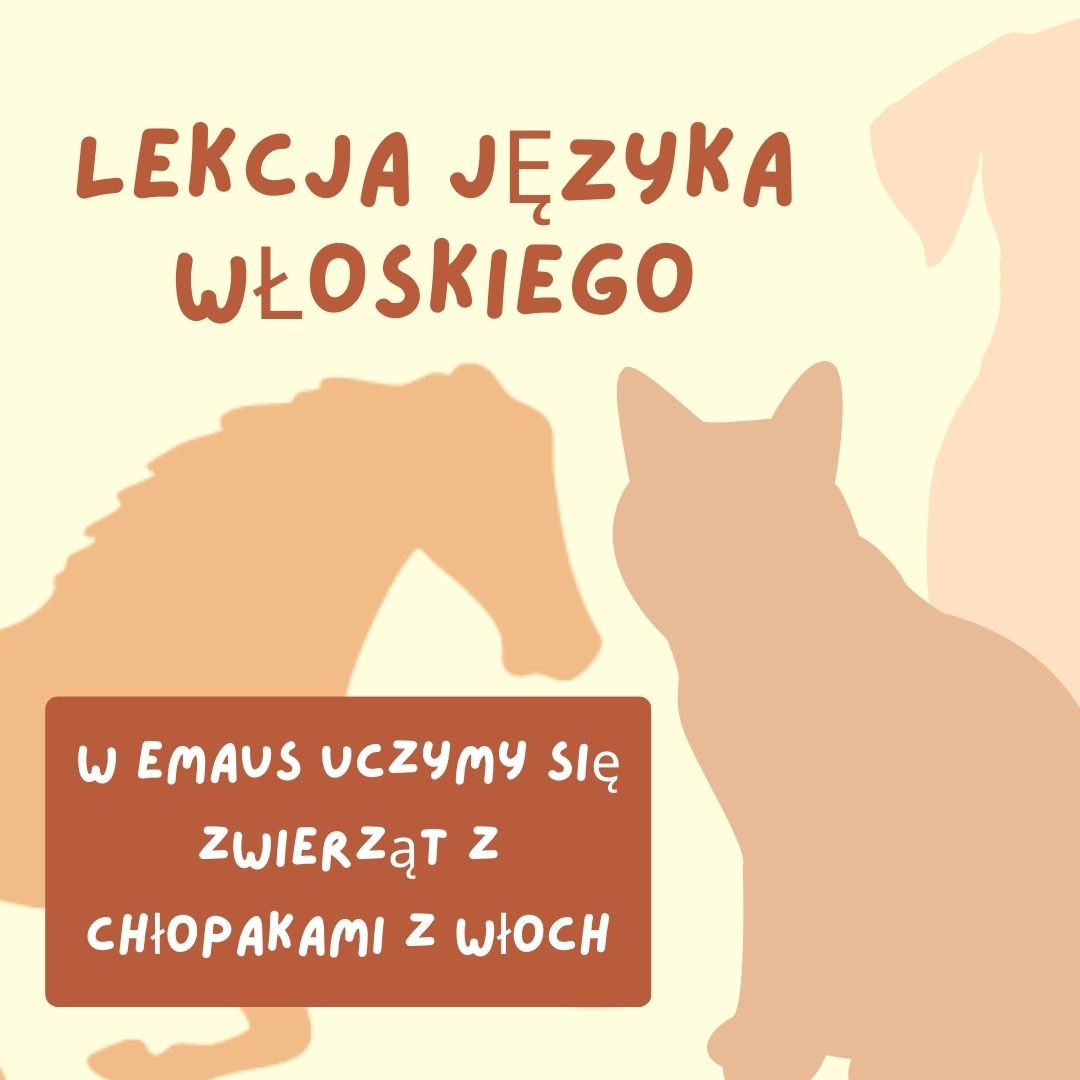 Lekcja języka włoskiego